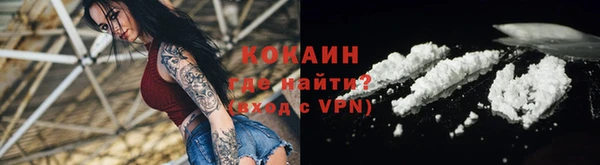 ешки Алексин