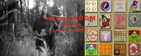 метадон Няндома
